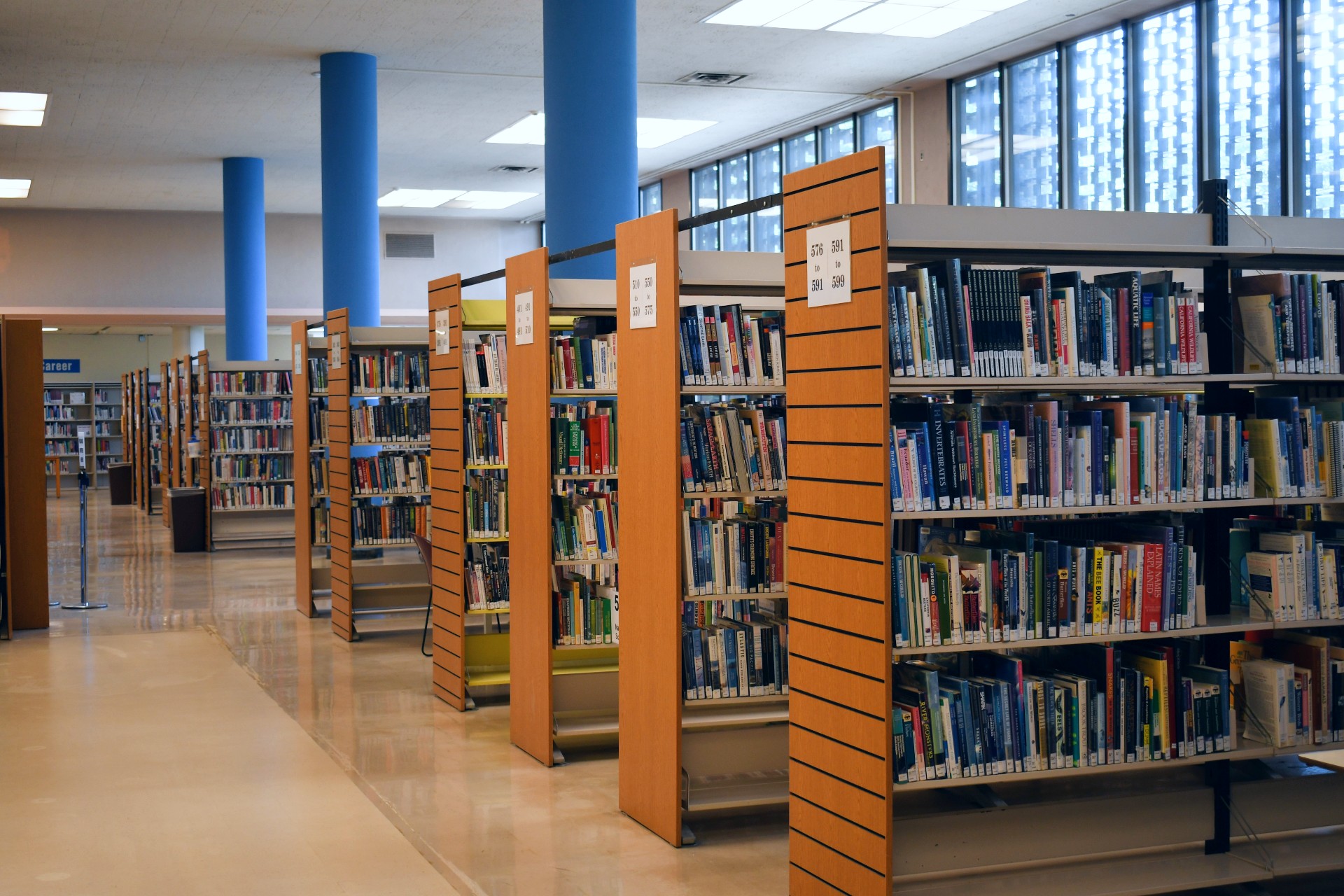 Nonfiction shelving