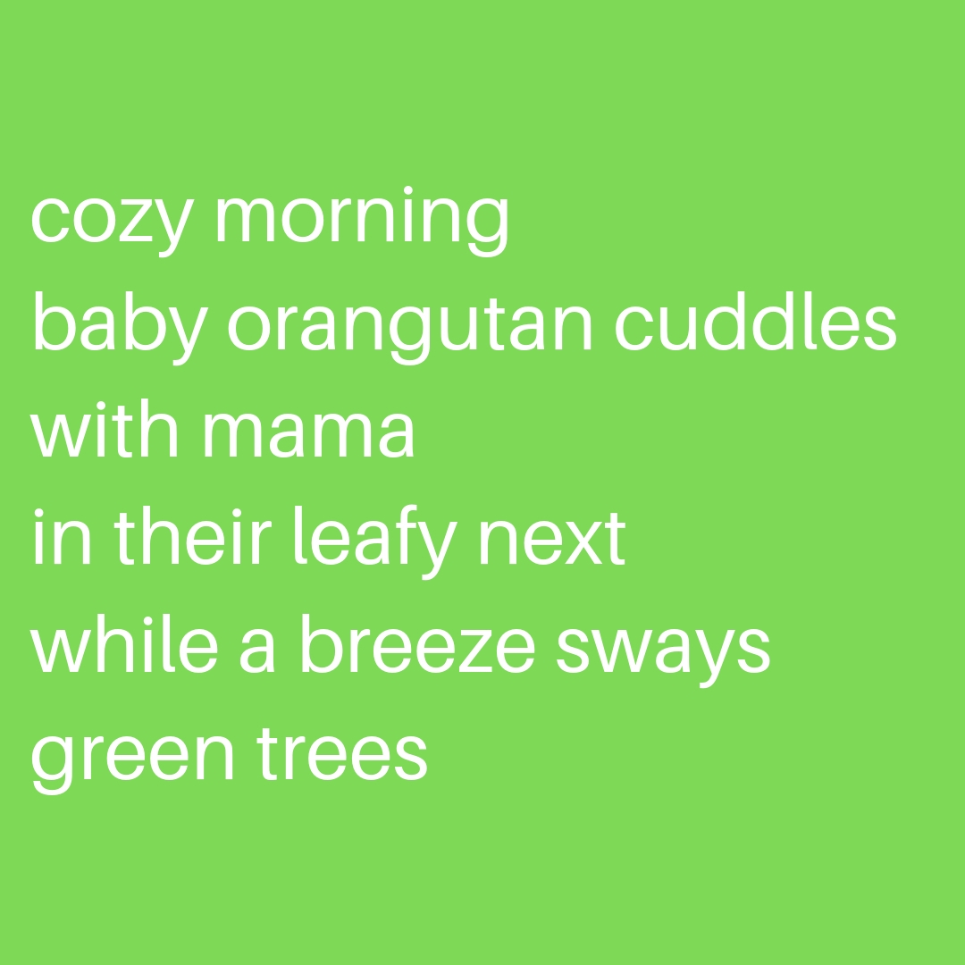 Tanka Poem